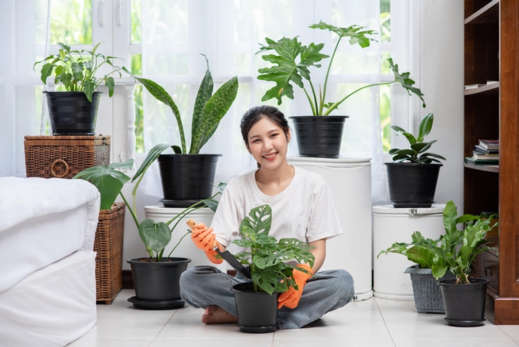 apartment interior gardening