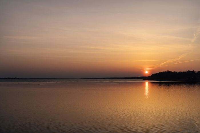 Chimmony Dam Thrissur