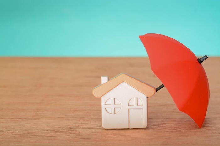 What NRIs Should Look for When Investing in Flats in Trivandrum